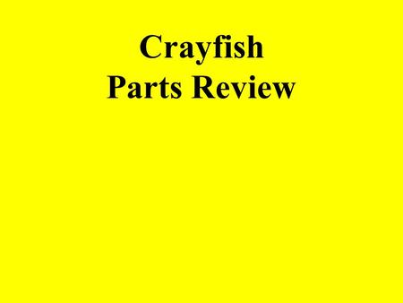 Crayfish Parts Review. a = _____________________ antennae #6 = _____________________ Walking legs Image from: