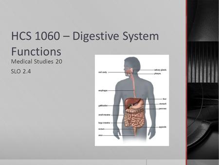 HCS 1060 – Digestive System Functions