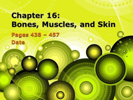 Chapter 16: Bones, Muscles, and Skin
