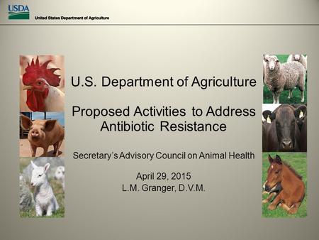 U.S. Department of Agriculture Proposed Activities to Address Antibiotic Resistance Secretary’s Advisory Council on Animal Health April 29, 2015 L.M. Granger,