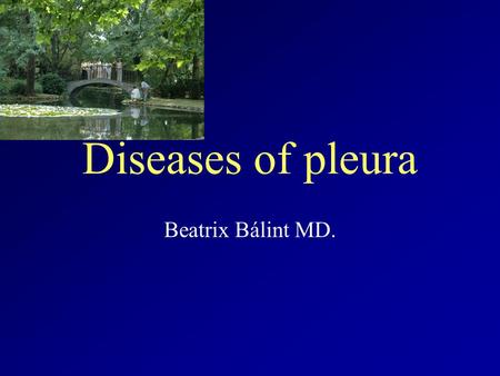Diseases of pleura Beatrix Bálint MD..