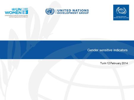 Gender sensitive indicators Turin 12 February 2014.