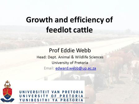 Growth and efficiency of feedlot cattle