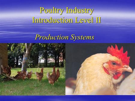 Poultry Industry Introduction Level II Production Systems.