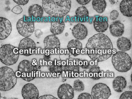 1. Provide introductory experience on the theory and application of centrifugation techniques in the biological sciences. Provide introductory experience.