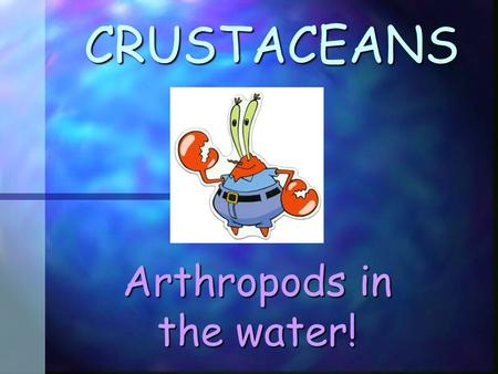 CRUSTACEANS Arthropods in the water! All Arthropods have: 1. Exoskeleton 1. Exoskeleton 2. Jointed Legs 2. Jointed Legs.