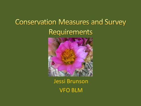 Jessi Brunson VFO BLM. Where do the Conservation Measures come from? & What do they say?