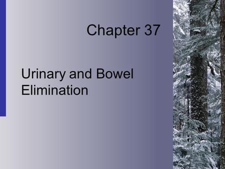 Chapter 37 Urinary and Bowel Elimination. 37-2 Copyright 2004 by Delmar Learning, a division of Thomson Learning, Inc. Physiology of Urinary Elimination.
