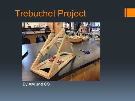 Trebuchet Project By AM and CS.