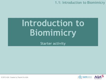 Introduction to Biomimicry