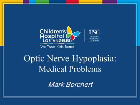 Optic Nerve Hypoplasia: Medical Problems Mark Borchert.