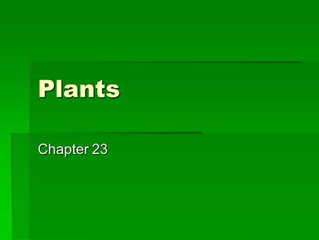 Plants Chapter 23. Setting the Stage for Plants  Earth’s atmosphere was originally oxygen free  Ultraviolet radiation bombarded the surface  Photosynthetic.
