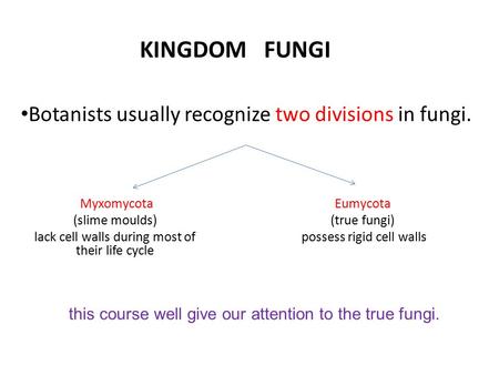 KINGDOM FUNGI Botanists usually recognize two divisions in fungi. Myxomycota (slime moulds) lack cell walls during most of their life cycle Eumycota (true.