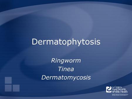 Ringworm Tinea Dermatomycosis