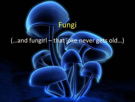 Fungi (…and fungirl – that joke never gets old…).