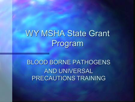 WY MSHA State Grant Program BLOOD BORNE PATHOGENS AND UNIVERSAL PRECAUTIONS TRAINING.