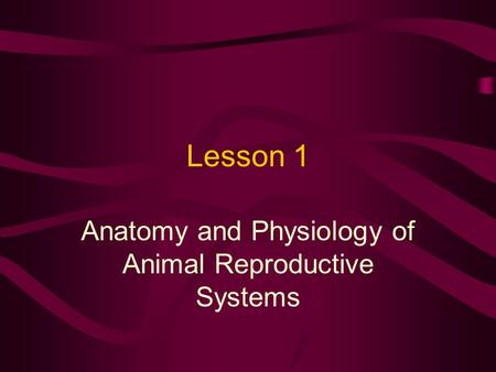 Anatomy and Physiology of Animal Reproductive Systems
