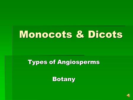 Monocots & Dicots Types of Angiosperms Botany Angiosperms  Angiosperms are flowering plants.  Angiosperms belong to the division Magnoliophyta.  Angiosperms.