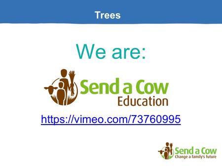 Trees We are: https://vimeo.com/73760995. Trees Why are Trees important to the world? Activity: What do trees give us?