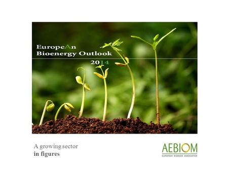 A growing sector in figures. europeAn bioenergy outlook 2014 ©AEBIOM - European Biomass Association The European Biomass Association (AEBIOM) released.