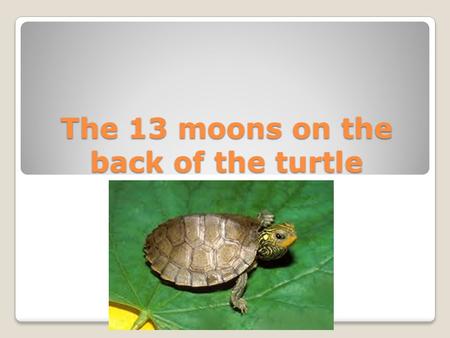 The 13 moons on the back of the turtle