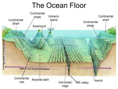 The Ocean Floor Continental slope Volcanic island Continental shelf