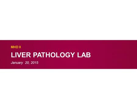 LIVER PATHOLOGY LAB MHD II January 20, 2015. Case 1 Describe the low power findings.