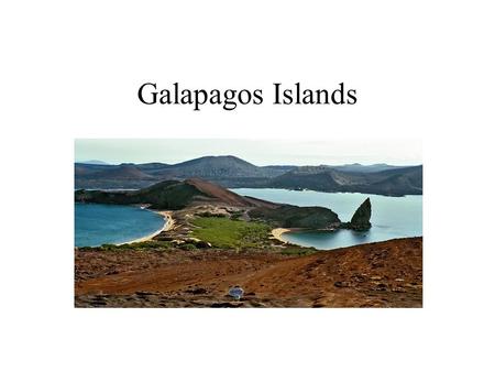 Galapagos Islands. Where are the Galapagos Islands located? Located in Pacific Ocean, North West of South America. 600 miles from Ecuador.