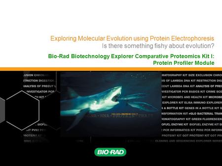 Exploring Molecular Evolution using Protein Electrophoresis Is there something fishy about evolution? Bio-Rad Biotechnology Explorer Comparative Proteomics.