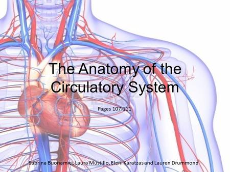 Pages 107-111 Sabrina Buonamici, Laura Mustillo, Eleni Karatzas and Lauren Drummond The Anatomy of the Circulatory System.