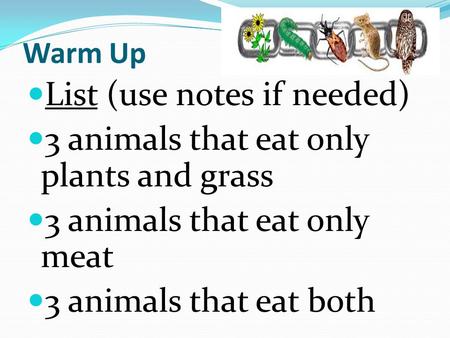 Warm Up List (use notes if needed) 3 animals that eat only plants and grass 3 animals that eat only meat 3 animals that eat both.