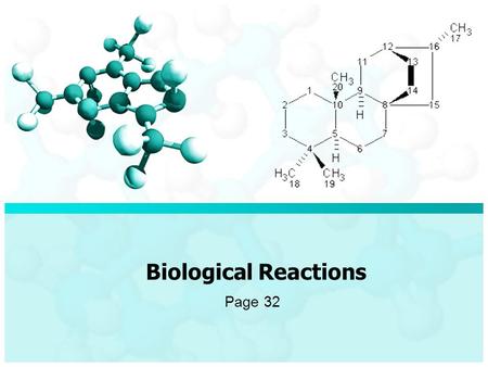Biological Reactions Page 32. Reactions The major classes of macromolecules consist of carbohydrates, proteins, nucleic acids and lipids. Most macromolecules.