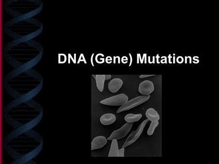 DNA (Gene) Mutations.