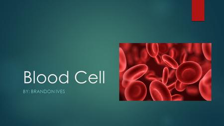 Blood Cell BY: BRANDON IVES. A Blood Cell’s Job  As it travels in the blood, through the arteries, veins, and capillaries, oxygen is shifted. The blood.