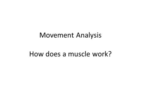 Movement Analysis How does a muscle work?. Human body is made up of bone, muscle, joints that together allow movement Understanding how a muscle works.