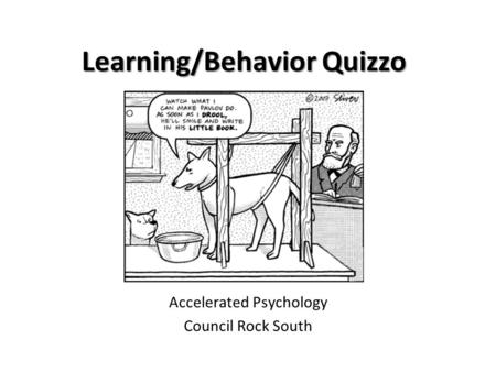 Learning/Behavior Quizzo