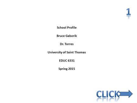 School Profile Bruce Gaborik Dr. Torres University of Saint Thomas EDUC 6331 Spring 2015.