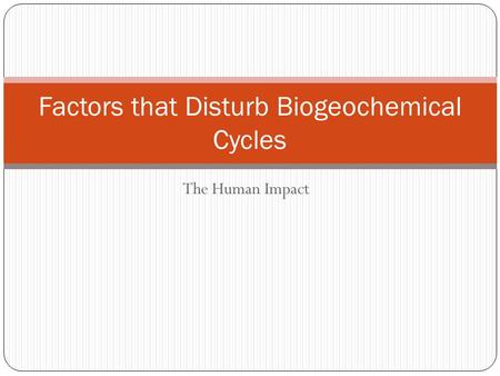 Factors that Disturb Biogeochemical Cycles