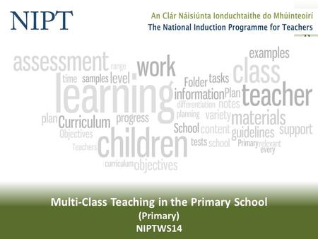 Multi-Class Teaching in the Primary School