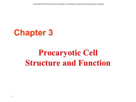 Procaryotic Cell Structure and Function
