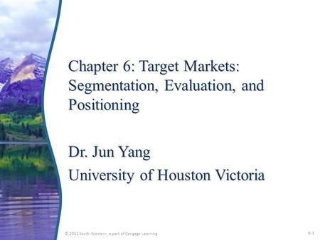 Chapter 6: Target Markets: Segmentation, Evaluation, and Positioning