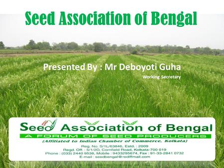 Presented By : Mr Deboyoti Guha Working Secretary Seed Association of Bengal.