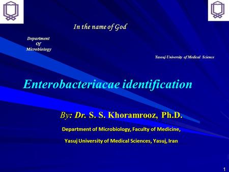Enterobacteriacae identification