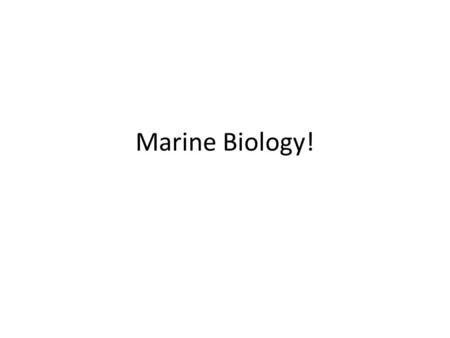 Marine Biology!. Trophic Structure Autotroph (Producer) Heterotroph (Consumer)