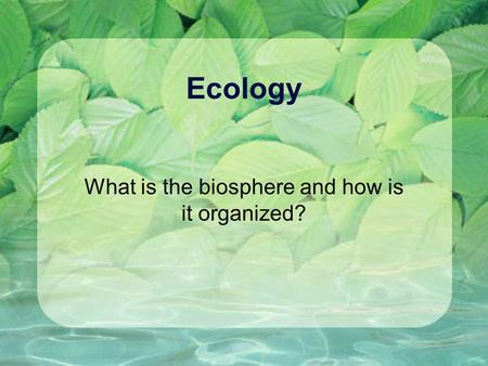 What is the biosphere and how is it organized?