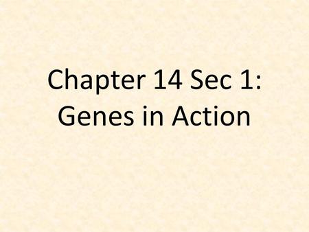 Chapter 14 Sec 1: Genes in Action