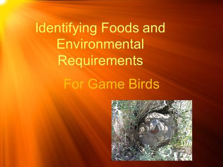 Identifying Foods and Environmental Requirements For Game Birds.