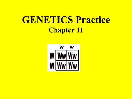 GENETICS Practice Chapter 11. The parents in this cross are _____________ Homozygous Heterozygous Heterozygous If G is dominant for green pods and g is.