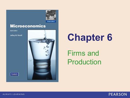 Chapter 6 Firms and Production.