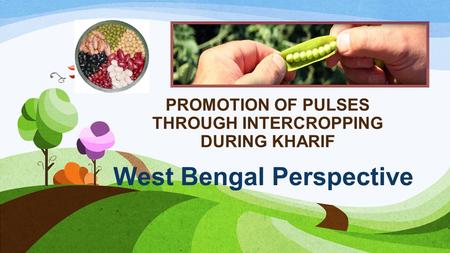 PROMOTION OF PULSES THROUGH INTERCROPPING DURING KHARIF West Bengal Perspective.